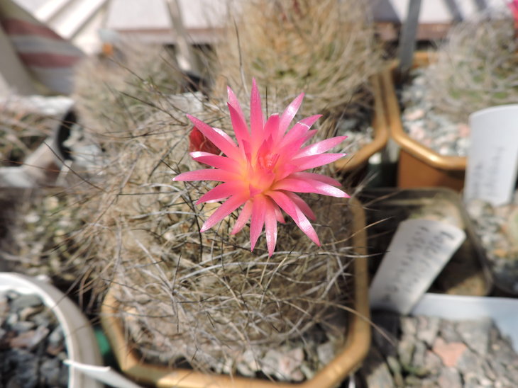 DSCN4273.jpg