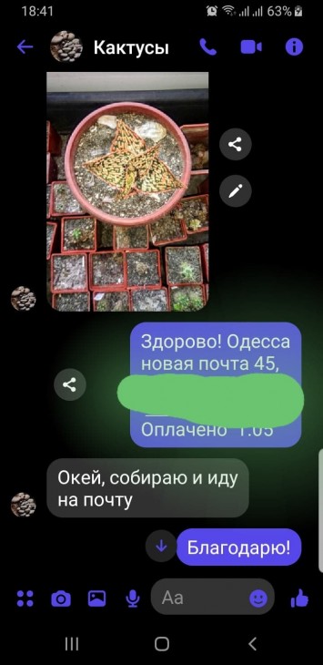 184075647_479350256653657_5175209658430449776_n.jpg