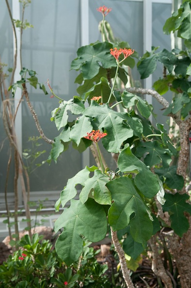 DSC_2399.jpg