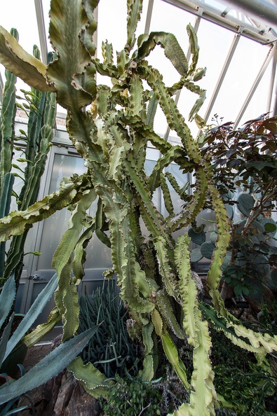 DSC_3652.jpg