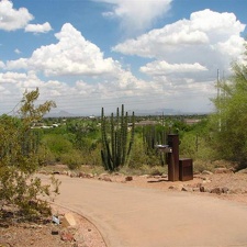 Ботанический сад штата Аризона (США)