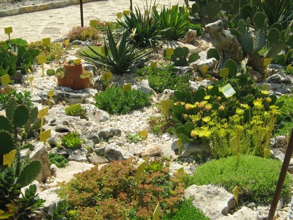 Ботанический сад в Балчике (Болгария) 2008