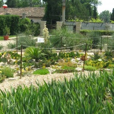 Ботанический сад в Балчике (Болгария) 2008