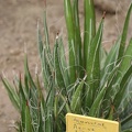 IMG_0167.JPG