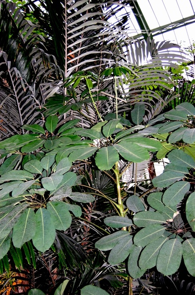 DSC_9428.jpg