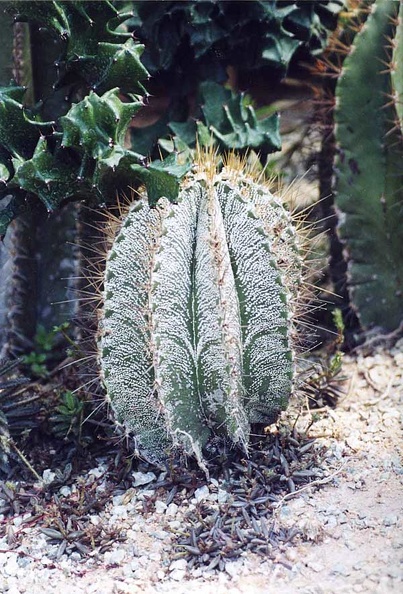 img010.jpg
