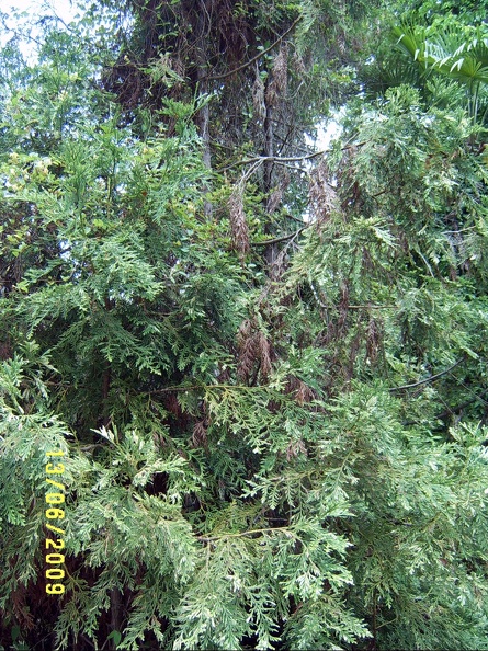 SV503028.JPG