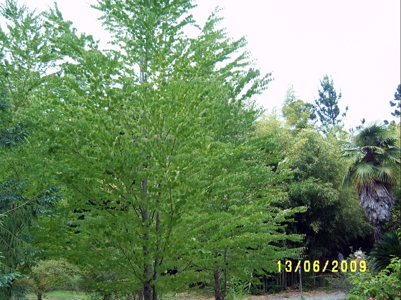 SV503033.JPG