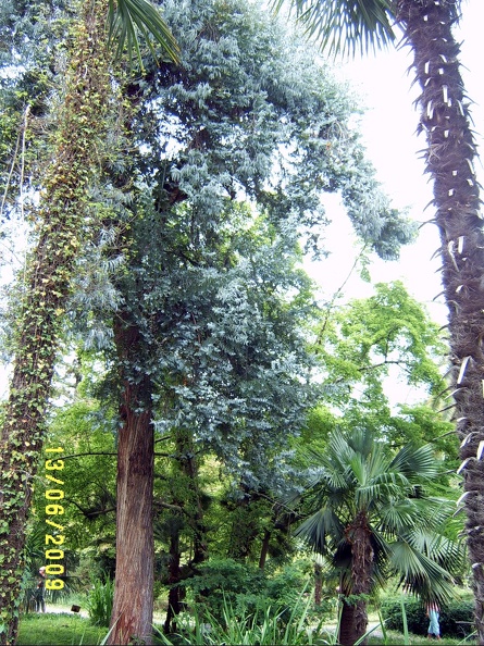 SV503052.JPG