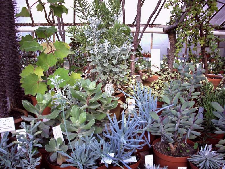 Ботанический сад в Софии (Болгария)