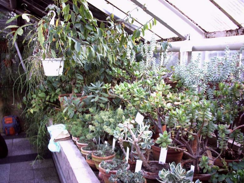 PICT0020.JPG