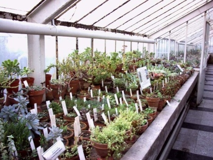 Ботанический сад в Софии (Болгария)