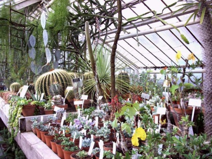 Ботанический сад в Софии (Болгария)