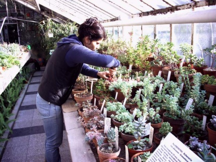 Ботанический сад в Софии (Болгария)