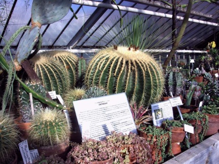 Ботанический сад в Софии (Болгария)