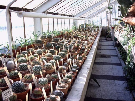 Ботанический сад в Софии (Болгария)