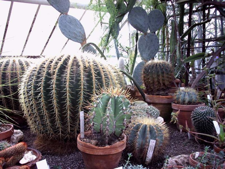 PICT0046.JPG