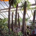 PICT0050.JPG