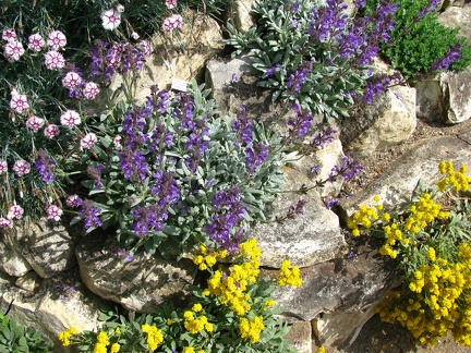 Praga13 -  Botsad Troja