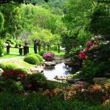 Praga5 - Botsad troja