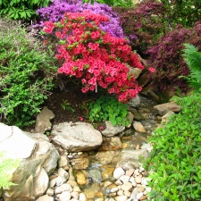 Praga7 - Botsad Troja