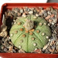 AAs087.JPG