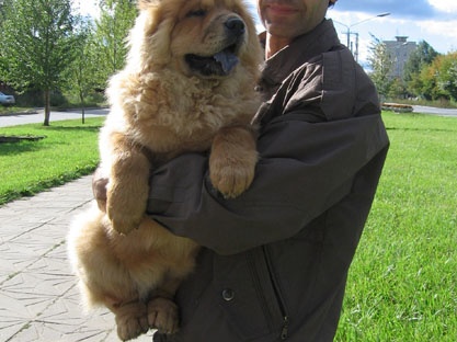 Юрий Епишин (г. Пермь, Россия) 2002 (3528 відвідувань) Юрий Епишин (г. Пермь, Россия) 2002