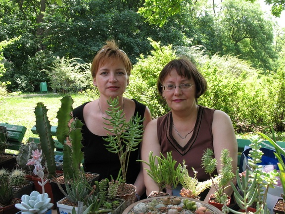 Iva Pon (2815 відвідувань) Iva Pon
