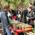 Олеся Рудина (Cactusledi) (Одесса). 2007 (3162 відвідувань) Олеся Рудина (Cactusledi) (Одесса). 2007