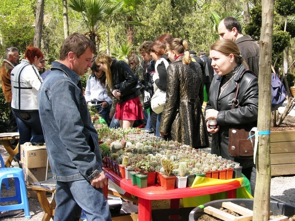 Олеся Рудина (Cactusledi) (Одесса). 2007 (3162 відвідувань) Олеся Рудина (Cactusledi) (Одесса). 2007
