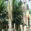 IMG_1796.JPG