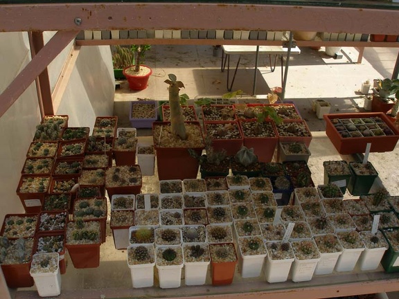 Коллекция Натальи Эллис  (Одесса)