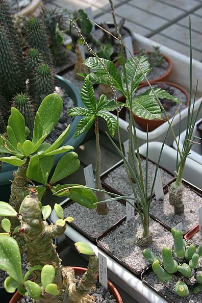 img047.jpg