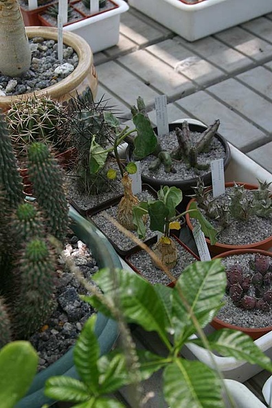 img049.jpg