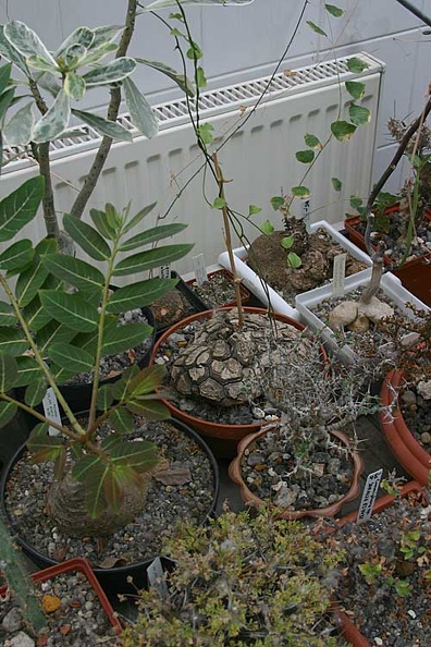 img07.jpg
