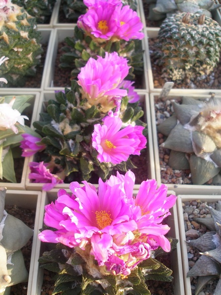 PA010265.jpg