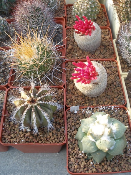 PA010294.jpg