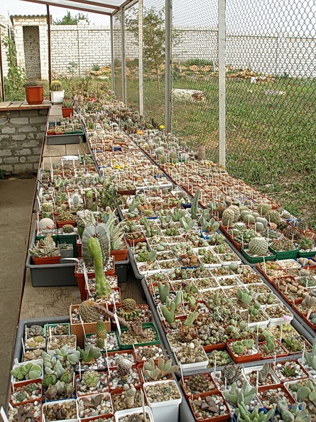 P9220080.jpg