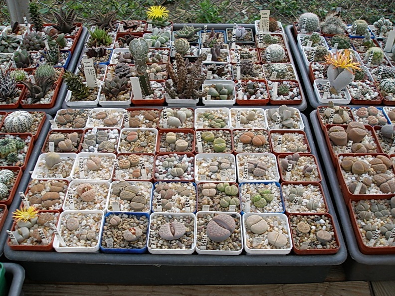 P9220104.jpg