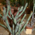 IMG_6873.JPG