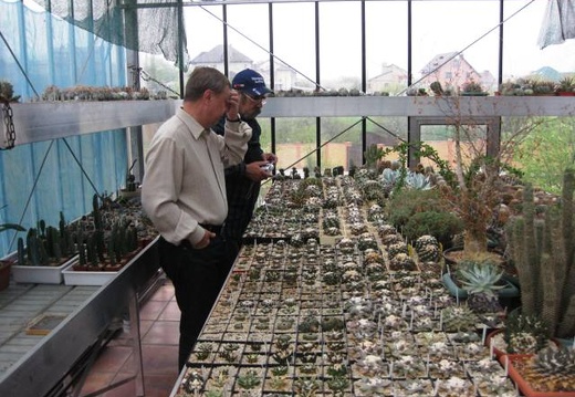 Выставка 1 мая 2009 (Донецк) (2637 відвідувань) Фото Лорана Комяти (Кировоград) Выставка 1 мая 2009 (Донецк)
