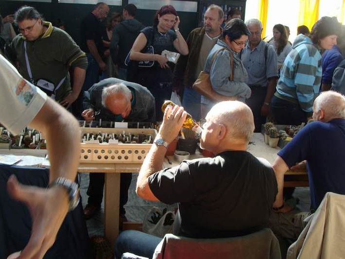 Выставка в Чехии у Павла Павличека 