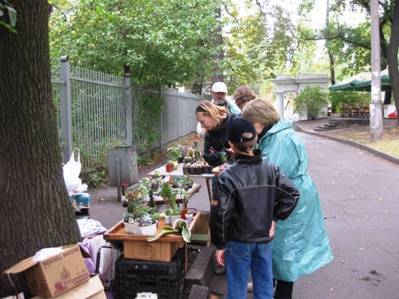 Выставка сентябрь 2008 (2628 відвідувань) Фото Лорана Комяти (Кировоград)
Выставка сентябрь 2008