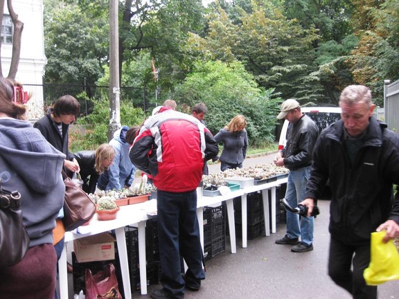 Выставка сентябрь 2008 (2944 відвідувань) Последние часы выставки. Все активизировались :)
Фото ... Выставка сентябрь 2008