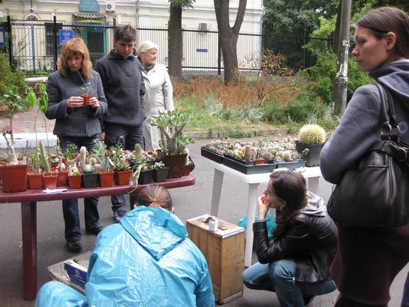 Выставка сентябрь 2008 (2888 відвідувань) Фото Лорана Комяти (Кировоград) Выставка сентябрь 2008