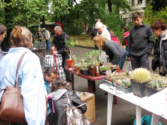 Выставка сентябрь 2008 (2954 відвідувань) Фото Лорана Комяти (Кировоград) Выставка сентябрь 2008