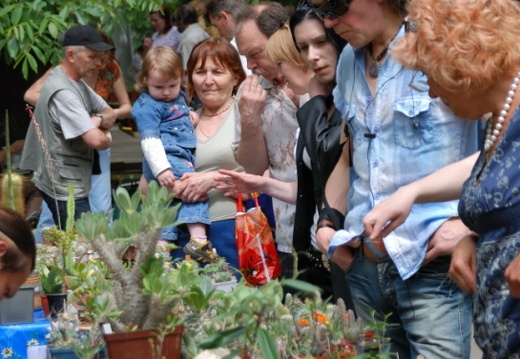Выставка май 2008 