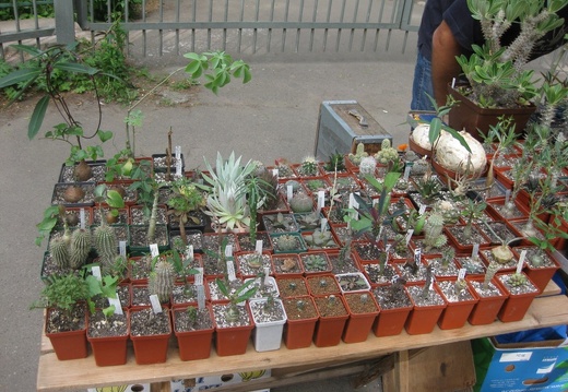 Выставка май 2008