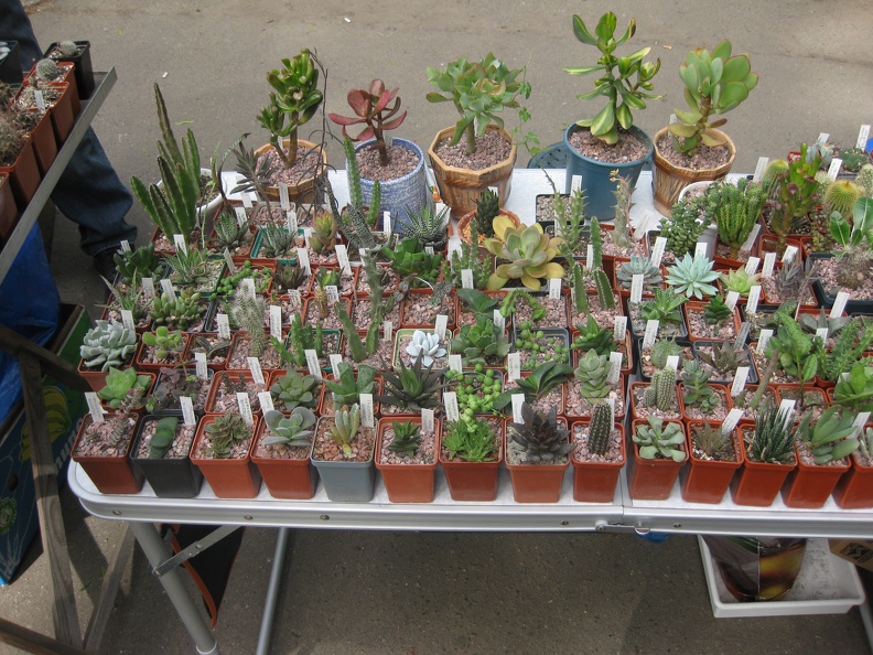 Выставка май 2008