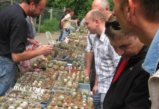 Выставка май 2008